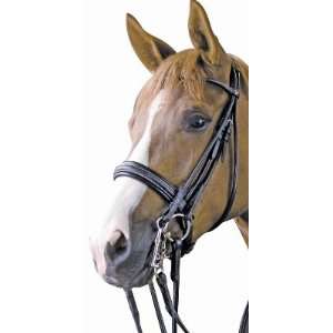 Isabell Werth Satchamo Round Double Bridle Black, Full  