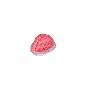  Brain Jello Mold: Home & Kitchen