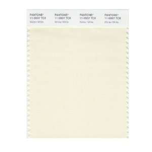   SMART 11 0507X Color Swatch Card, Winter White: Home Improvement