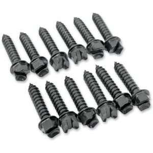   : Gold Screws Pro Gold Ice Screws   Fine   1in 1250 0303: Automotive