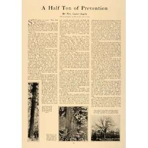  1927 Article Tree Preservation Mrs Garret Smtih Collier 
