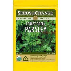  Seeds of Change S10703 Certified Organic Forest Green 