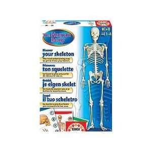  Discover Your Skeleton Toys & Games