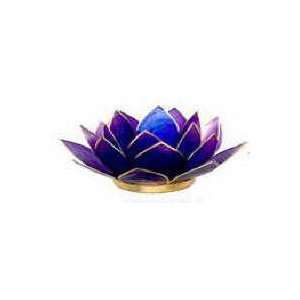   Holders Gemstone Collection in Chakra Colors Tanzanite: Home & Kitchen