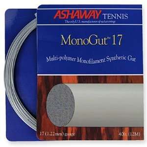  Ashaway Mono Gut 17g