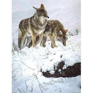  Ron Parker   Winter Storm Coyote