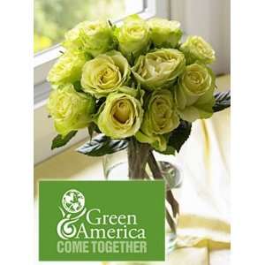 Green America Roses One Dozen  Grocery & Gourmet Food