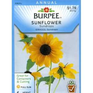  Burpee 47894 Sunflower Sundrops Seed Packet Patio, Lawn 