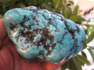 77lb VAIN GREEN polished Turquoise Rough NuggeT  