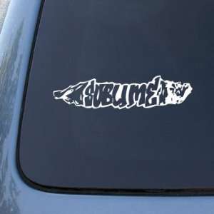  Sublime   Car, Truck, Notebook, Vinyl Decal Sticker #2467 