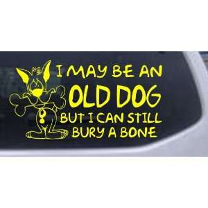 Funny I May Be An Old Dog But I Can Still Bury A Bone Funny Car Window 