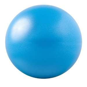  GoFit 20cm Core Ab Ball with Brook Benten Training DVD and 