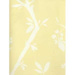  Wallpaper Seabrook Wallcovering Fresh Floral FF92503