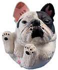   Animals Dog Collection  Popularity  French Bulldog Butchie Rare