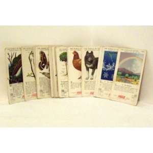  VINTAGE Coca Cola World of Nature Cards: Everything Else