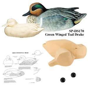  Woodcarving   GREEN WINGED DR KIT