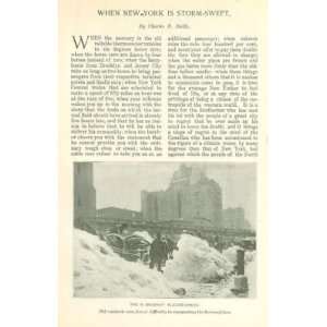  1899 Winter Snow Storms In New York City illustrated 