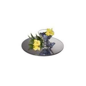  Gourmet Display Acrylic Round Mirror Tray , 24   PT250 