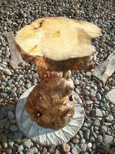   inch tall Rustic burl wood end table or plant stand; natural slab top
