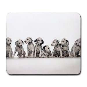  Cute Dalmation puppies Large Mousepad mouse pad Great Gift 