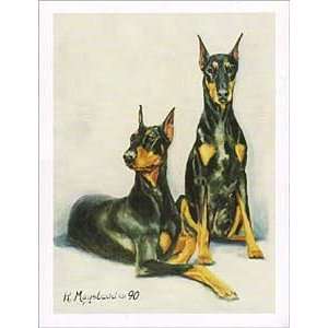  Doberman Pinscher Boxed Notecards: Office Products