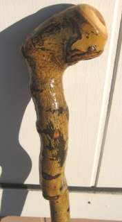 Aspen Walking Stick Staff Hand Carved in Colorado  