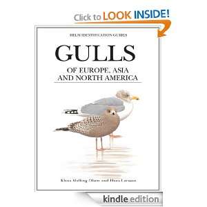 Gulls of Europe, Asia and North America (Helm Identification Guides 