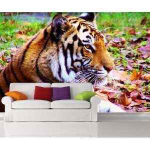  Wall Mural Decal Sticker Tiger MMartin127: Everything Else