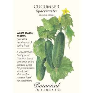  Spacemaster Cucumber Seeds   2 grams Patio, Lawn & Garden