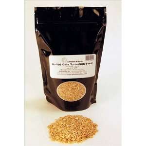 Organic Hulled Oat Groats   1 Lbs   Oats   Hull Removed   Cereal Grain 