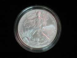 2007 W UNCIRCULATED UNITED STATES AMERICAN SILVER EAGLE  