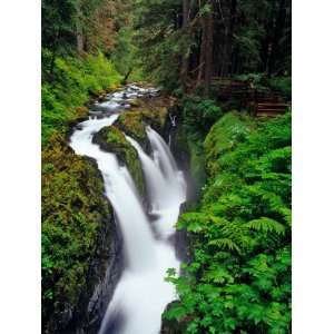  Sol Duc Falls in Olympic National Park, Washington, USA 