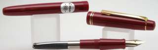   EXCEPTIONAL Pilot fountain pen. Here are the facts about this pen