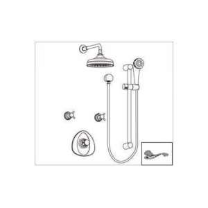   Shower Kit with Delfino Handle KIT54 52073.PC: Home Improvement