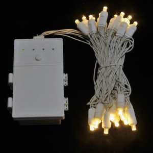   Warm White LED Battery Christmas Lights on White Wire