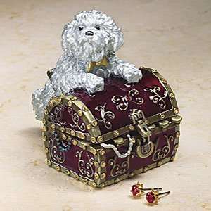  Murphy Dog with Treasure Chest Box