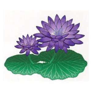    Imagine Gold Floating Tropical Water Lily Purple
