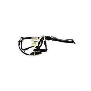  REFLECTIVE ADJUSTABLE HALTER W/ LEATHER HEAD POLL, Color 