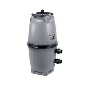  Jandy 460 Sq Ft CL Series Cartridge Filter CL460: Sports 