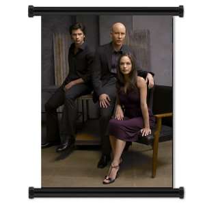  Smallville TV Show Wall Scroll Fabric Poster (32x42 