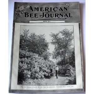 American Bee Journal March 1917 House Apiaries American Bee Journal 