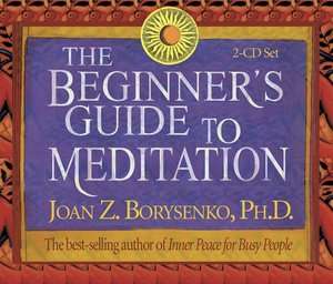   Guide to Meditation by Joan Borysenko, Hay House, Inc.  Audiobook