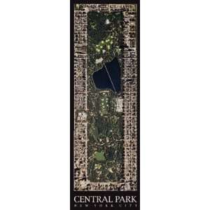  Central Park, New York City by Aric Boyles   39 x 13 