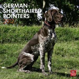  Dog Calendars German Shorthaired Pointers   12 Month   11 