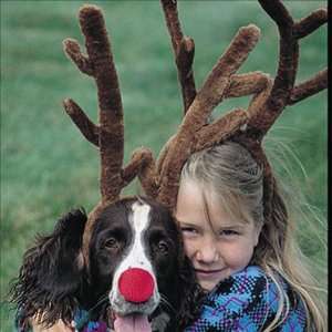  Plush Reindeer Antlers Toys & Games