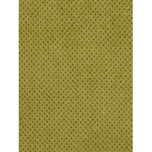  Plush Softy Tarragon by Robert Allen Fabric