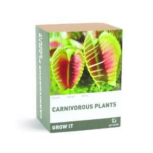  Venus Fly Trap Carnivorous Plants Grow It Kit: Patio, Lawn 