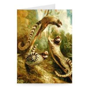 Marmoset in Three Attitudes, 1793 (oil on   Greeting Card (Pack of 