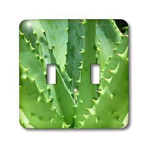  Florene Macro Plant   Victory Cactus   Light Switch Covers 