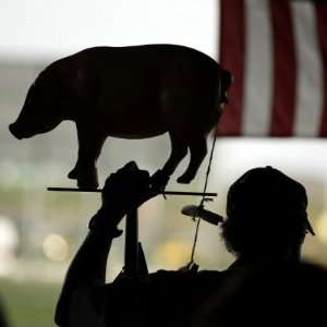 Pig, Representing Goverment Spending, as He Attends a Tea Party Tax 